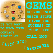 The best astrologer in world free call