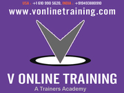   Sales Force CRM Online Training by Expert