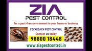 Cockroach Pests cleaning service | AMC is also available Price List