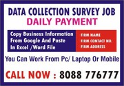 Data Collection Survey Job | How do I make income from home jobs 3006